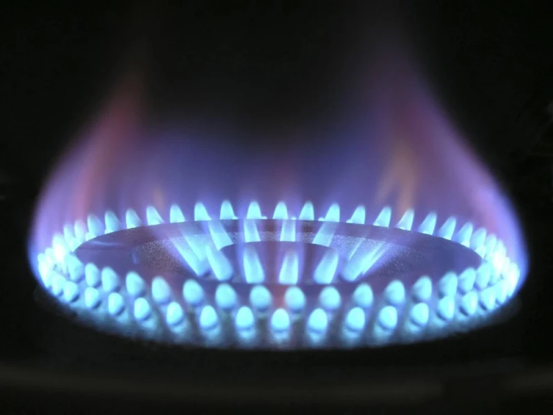 PGNiG obniżył ceny gazu dla przedsiębiorców